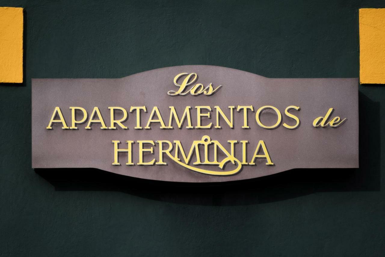 Apartamentos De Herminia Manzaneda  Dış mekan fotoğraf