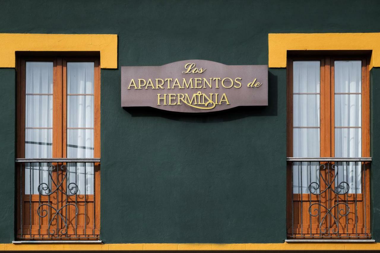 Apartamentos De Herminia Manzaneda  Dış mekan fotoğraf